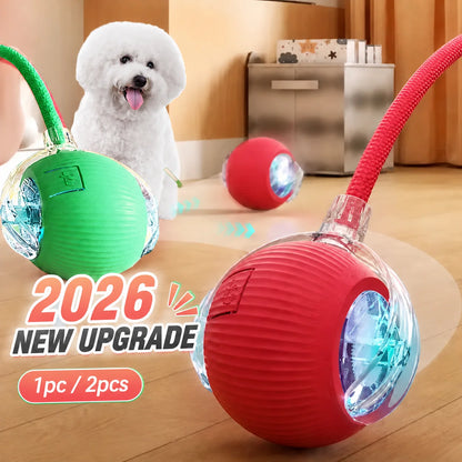 Interactive Dog Ball