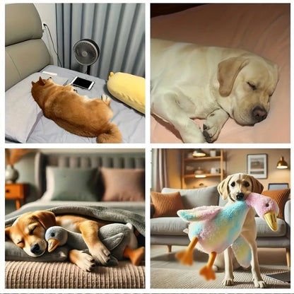 Duck Plush Toy