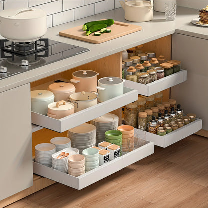 Pull-Out Cabinet Organizer