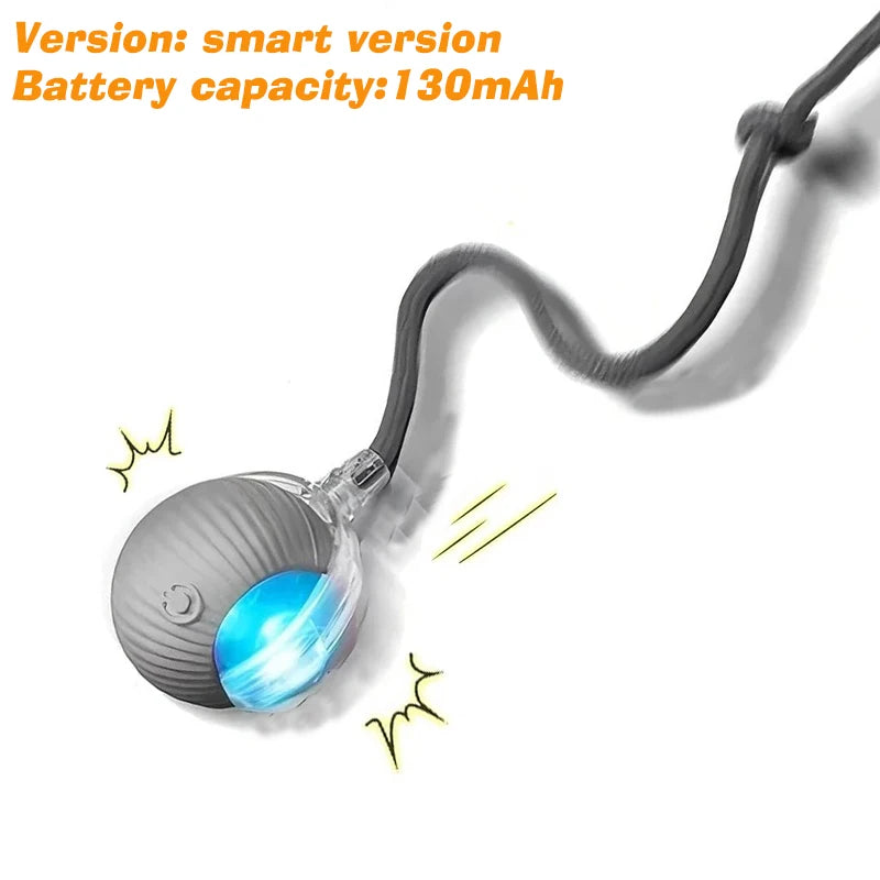 Interactive Dog Ball