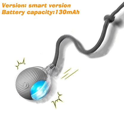 Interactive Dog Ball