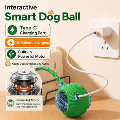 Interactive Dog Ball