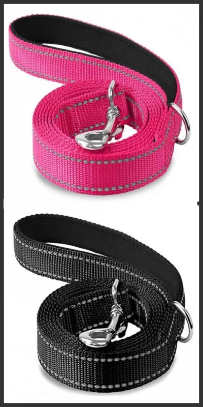 Reflective Dog Leash