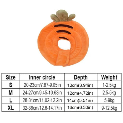 Bee Recovery Collar