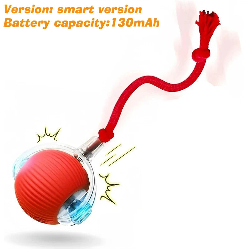 Interactive Dog Ball