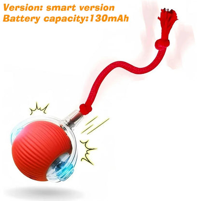 Interactive Dog Ball