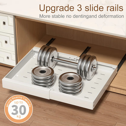 Pull-Out Cabinet Organizer