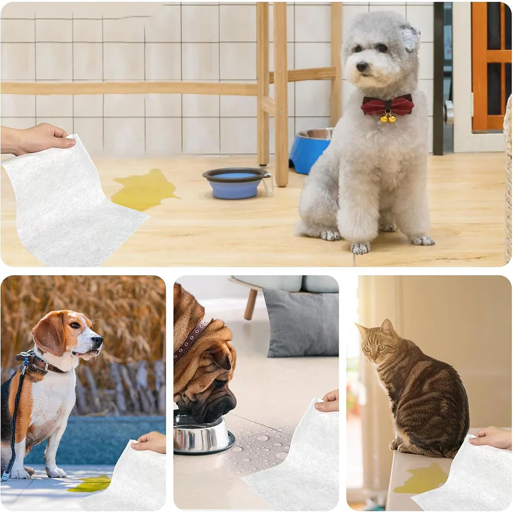 Pet Training Pads