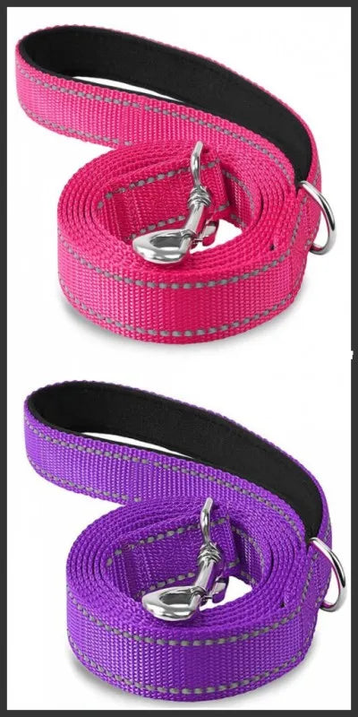 Reflective Dog Leash