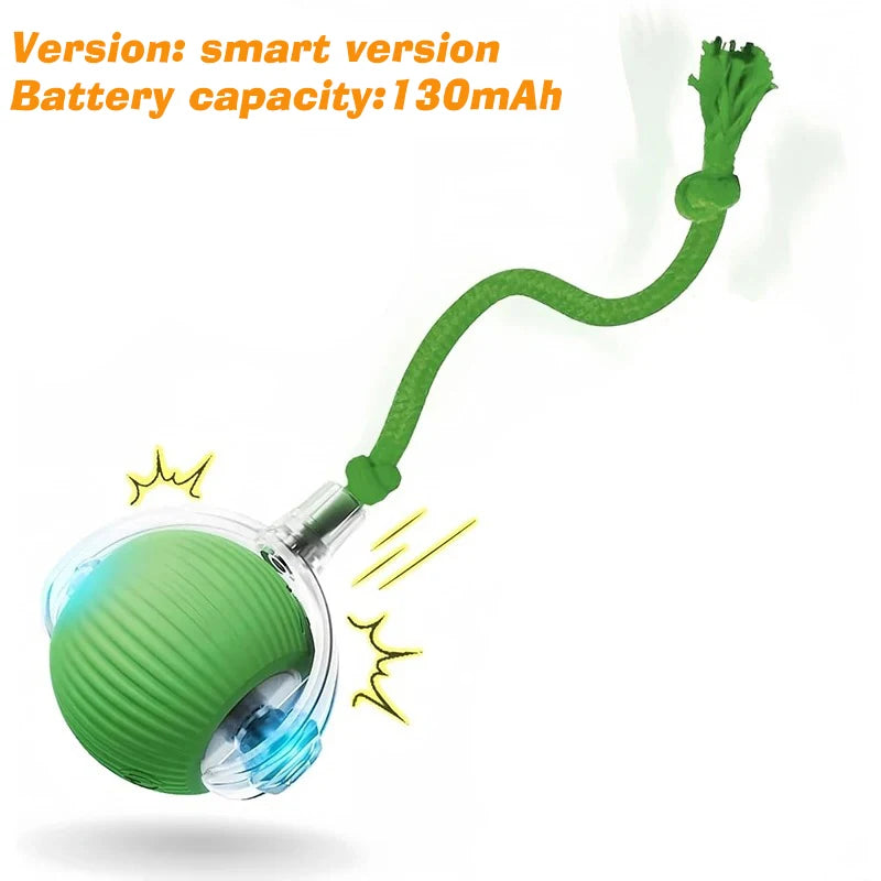 Interactive Dog Ball