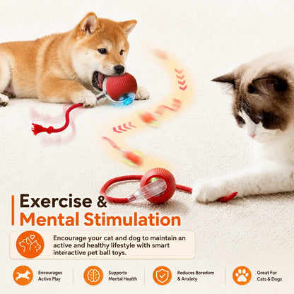 Interactive Dog Ball