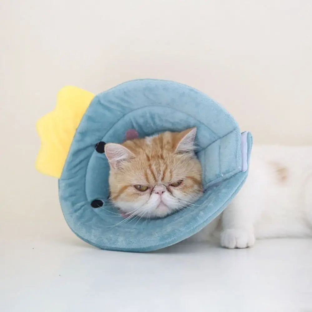 Bee Recovery Collar