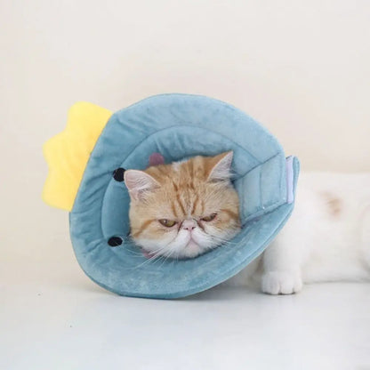 Bee Recovery Collar