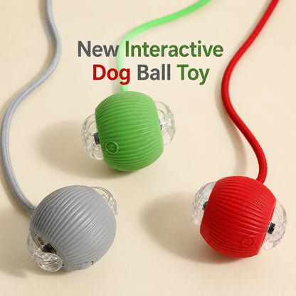 Interactive Dog Ball